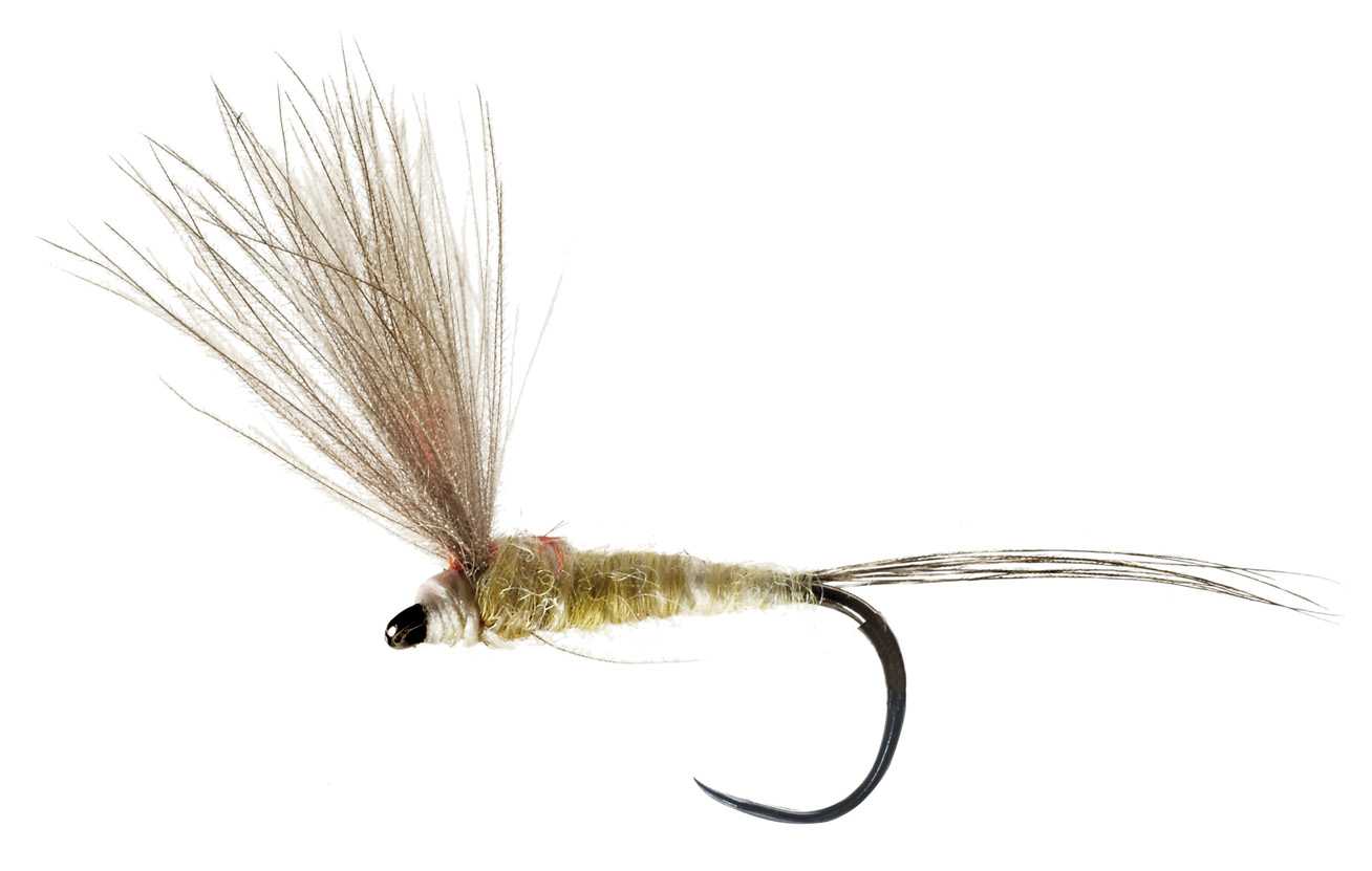 DRY FLY SPECIAL BARBLESS OLIVE HI-VIZ CDC