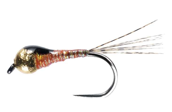 PERDIGONES Carrot amo 16- MOSCHE SOLDARINI