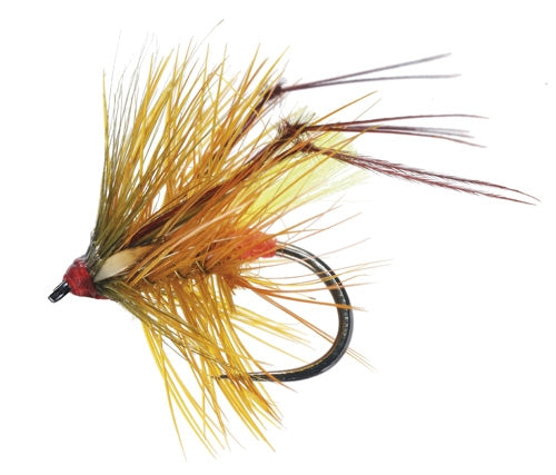 GALLO PARDO - MATERIALI DA COSTRUZIONE SOLDARINI