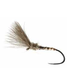 DRY FLY SPECIAL BARBLESS QUILL SHUTTLECOCK