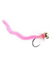 Pink Grayling Worm