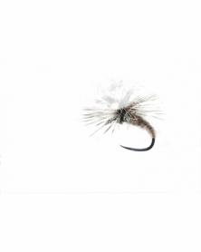 DRY FLY SPECIAL