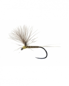 DRY FLY SPECIAL