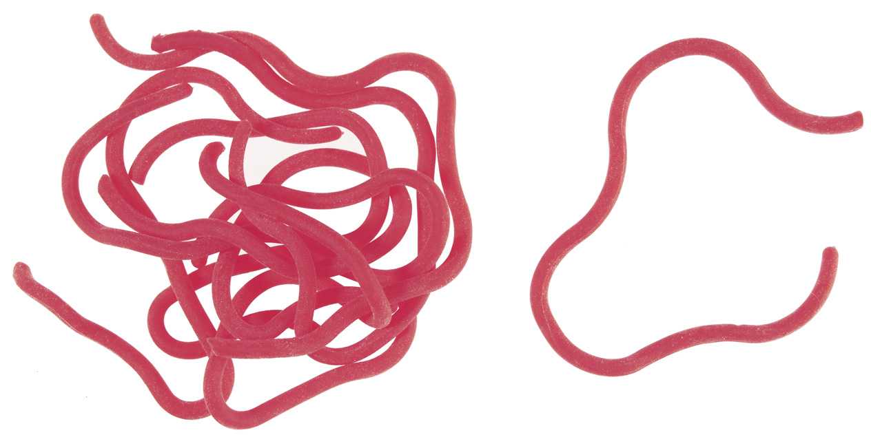 SQUIRMY BODY BLOODWORM - MATERIALI DA COSTRUZIONE SOLDARINI