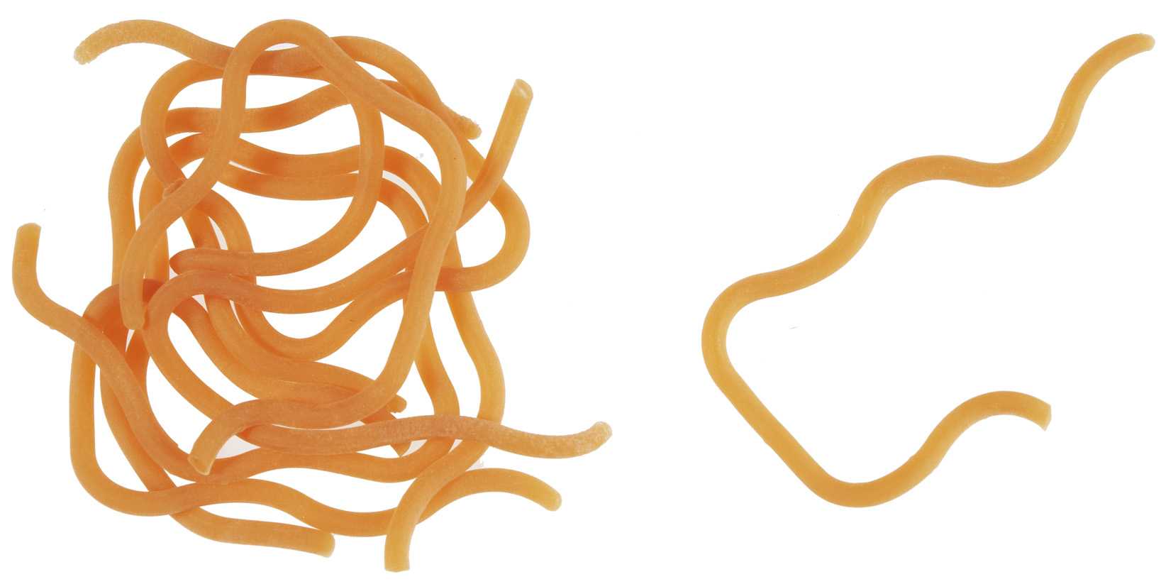 SQUIRMY BODY HEARTH WORM - MATERIALI DA COSTRUZIONE SOLDARINI