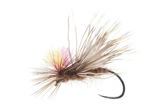 PARACHUTE POST - MATERIALI DA COSTRUZIONE SOLDARINI