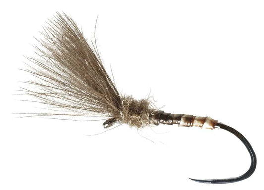 DRY FLY SPECIAL BARBLESS QUILL SHUTTLECOCK