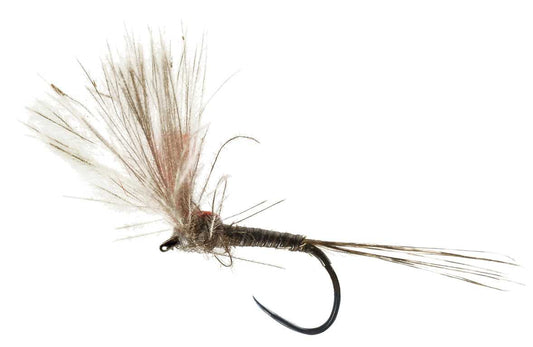 DRY FLY SPECIAL BARBLESS QUILL HI-VIZ CDC