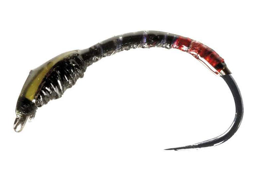 STILLWATER BARBLESS TRAFIC LIGHT BUZZER