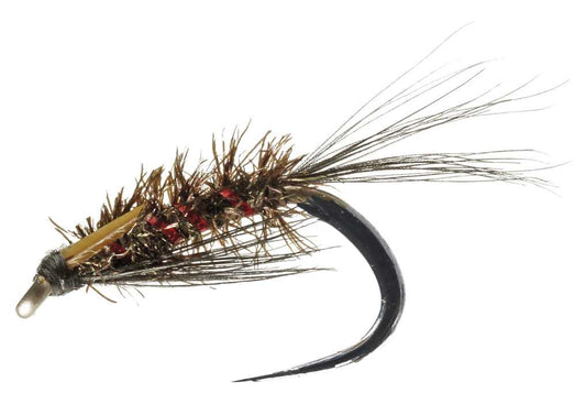 STILLWATER BARBLESS SUNBURST DIAWL BACK