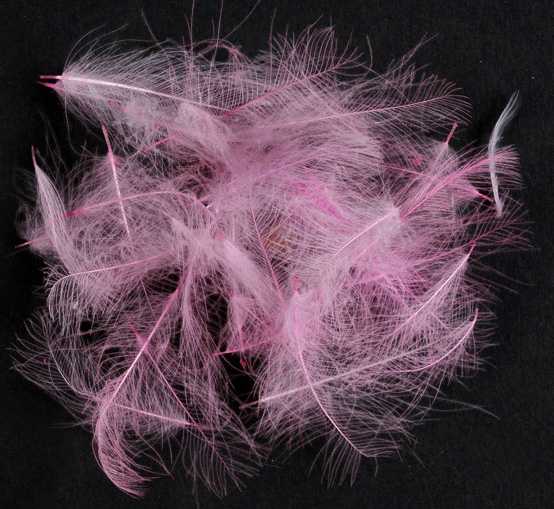 WILD CDC - MATERIALI DA COSTRUZIONE SOLDARINI