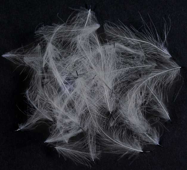 WILD CDC - MATERIALI DA COSTRUZIONE SOLDARINI