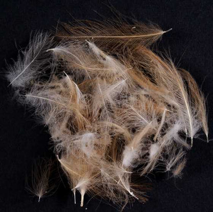 WILD CDC - MATERIALI DA COSTRUZIONE SOLDARINI