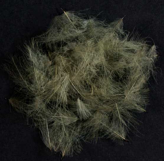 WILD CDC - MATERIALI DA COSTRUZIONE SOLDARINI