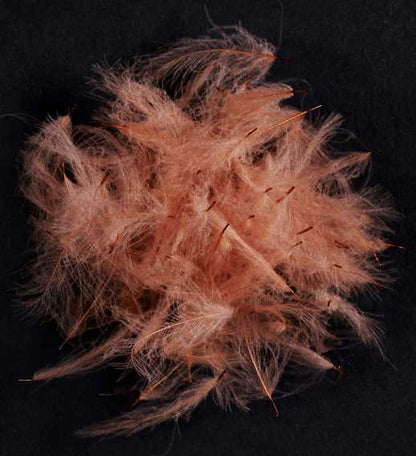 WILD CDC - MATERIALI DA COSTRUZIONE SOLDARINI