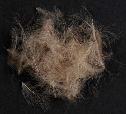 WILD CDC - MATERIALI DA COSTRUZIONE SOLDARINI