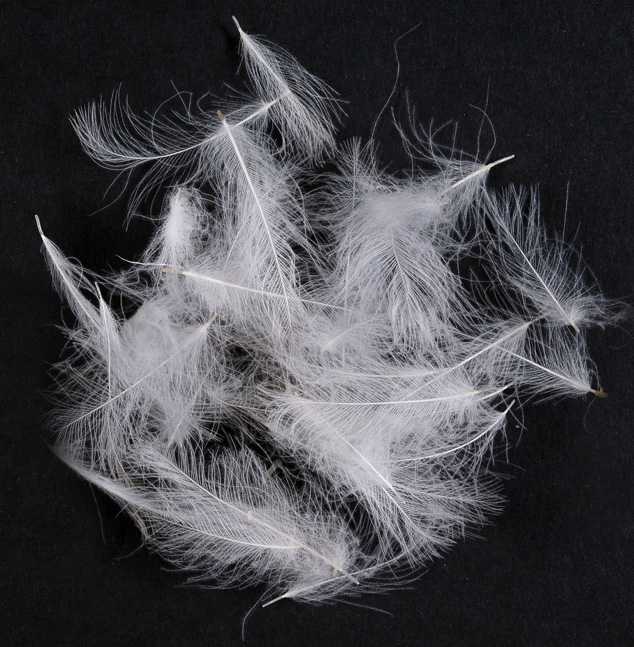 WILD CDC - MATERIALI DA COSTRUZIONE SOLDARINI