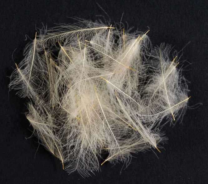 WILD CDC - MATERIALI DA COSTRUZIONE SOLDARINI