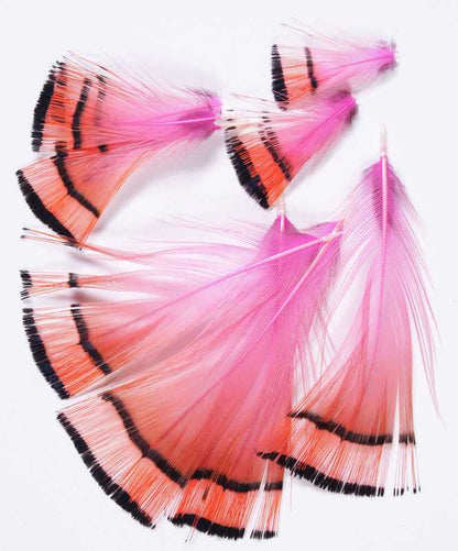 GOLDEN PHEASANT - MATERIALI DA COSTRUZIONE SOLDARINI