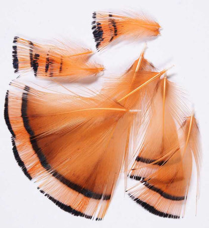 GOLDEN PHEASANT - MATERIALI DA COSTRUZIONE SOLDARINI