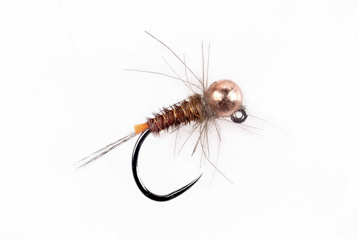 PHEASANT TAG - MOSCHE SOLDARINI