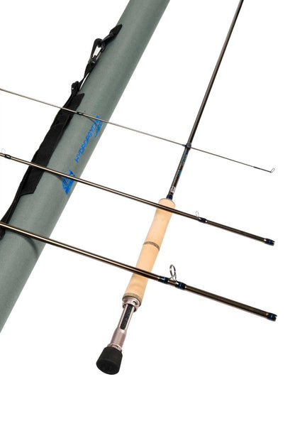 10'0" 8 HYDROPSYCHE LAGO