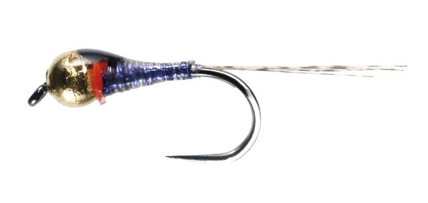 PERDIGONES  Nasa  amo 16- MOSCHE SOLDARINI