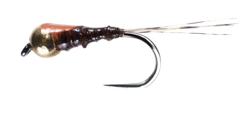 PERDIGONES Orange spot    amo 16- MOSCHE SOLDARINI