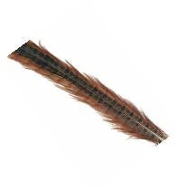 PHEASANT FEATHER