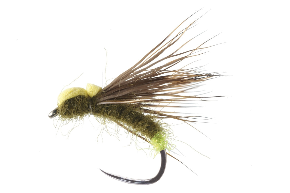 DRY FLY SPECIAL