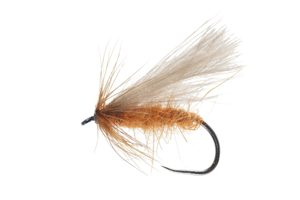 DRY FLY SPECIAL