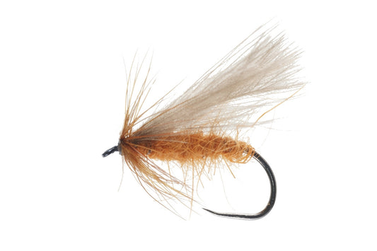 DRY FLY SPECIAL