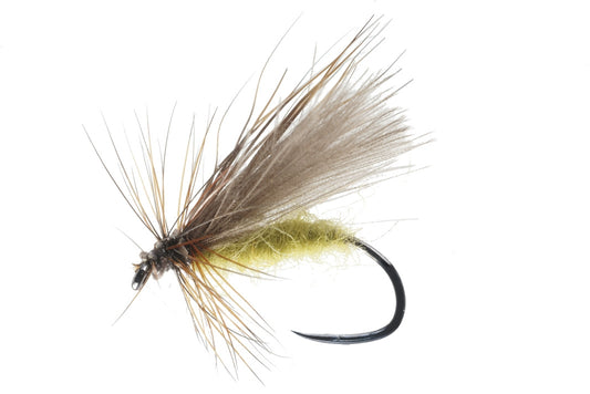 DRY FLY SPECIAL