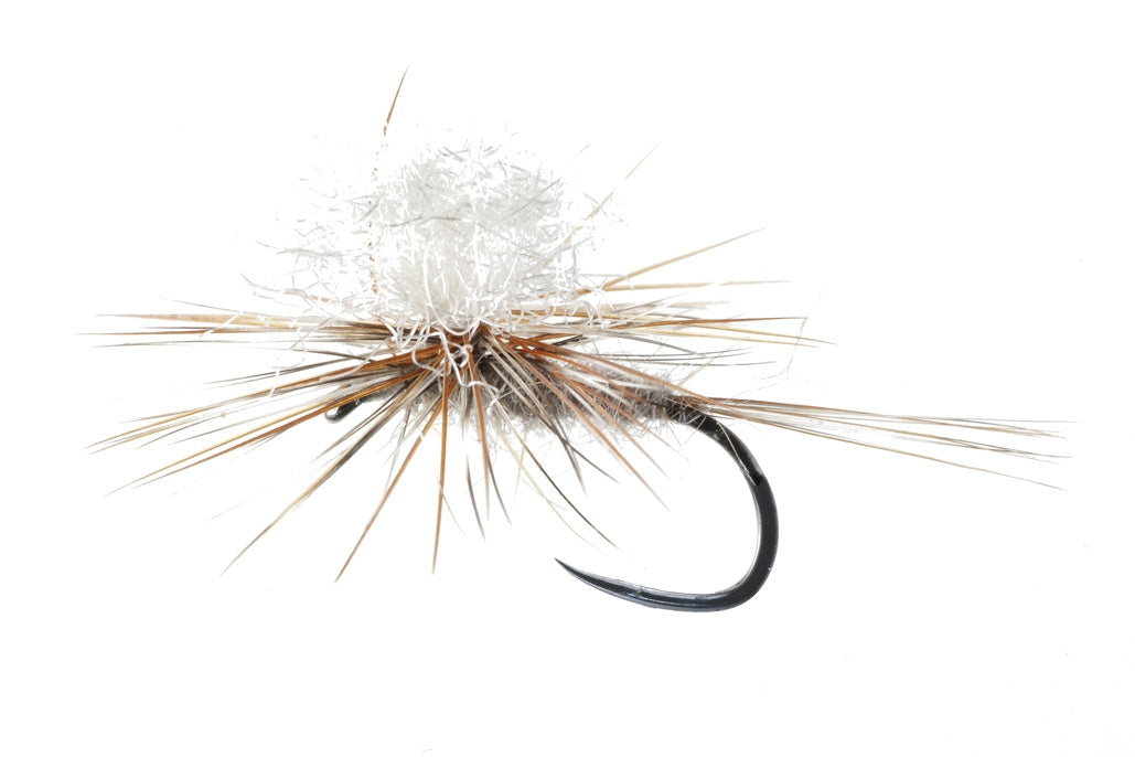 DRY FLY SPECIAL