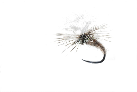DRY FLY SPECIAL