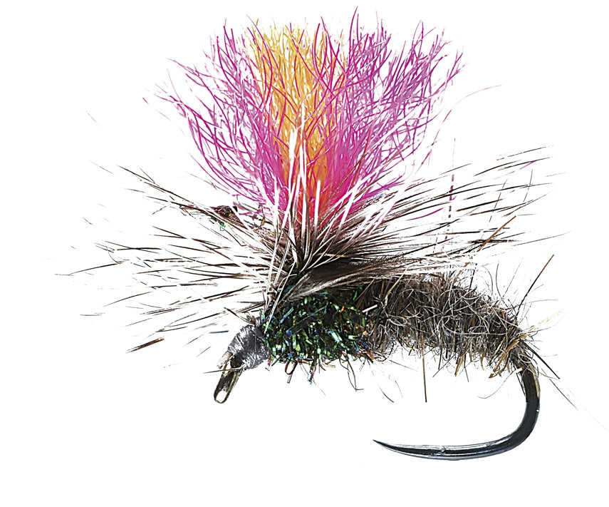 DRY FLY SPECIAL