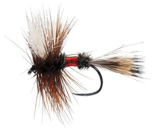 DRY FLY SPECIAL